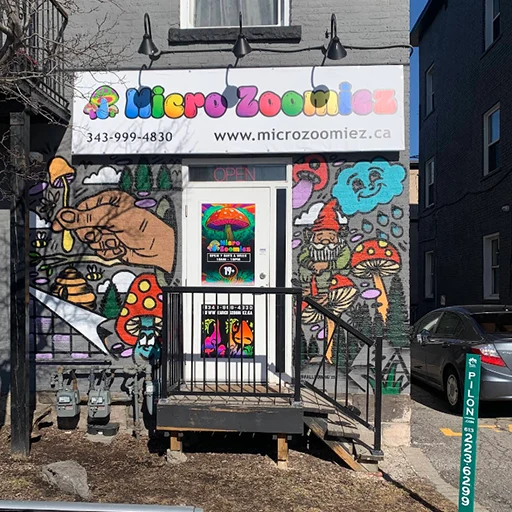 Magic Mushroom Delivery Ajax