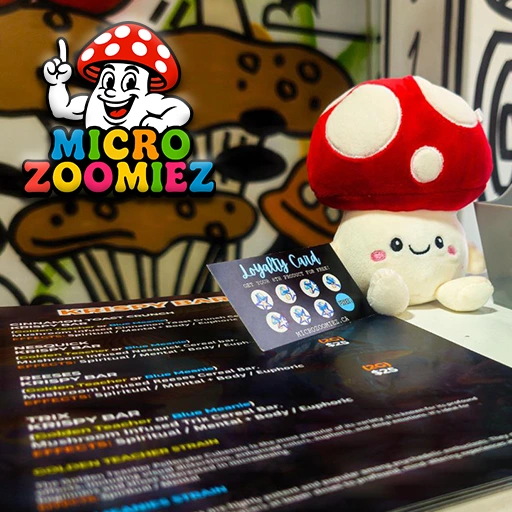 Magic Mushroom Delivery Barrhaven