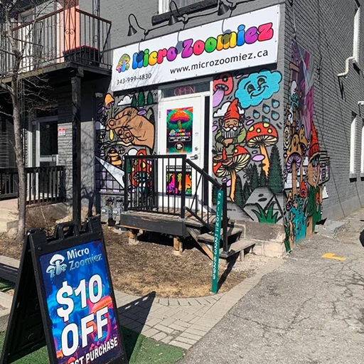 Magic Mushroom Delivery Brampton
