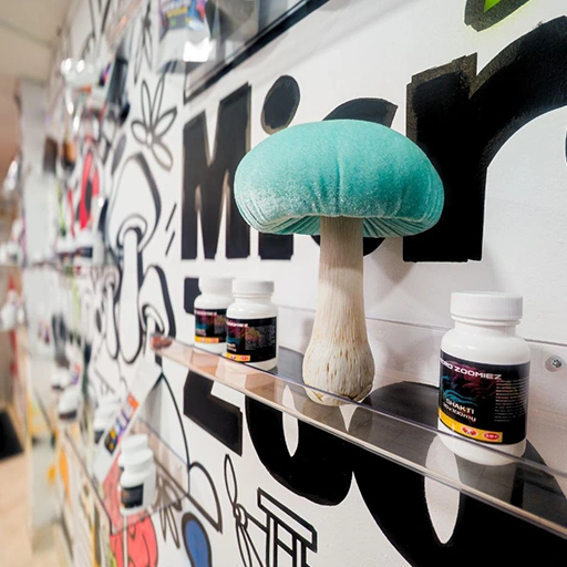 Magic Mushroom Delivery Burlington