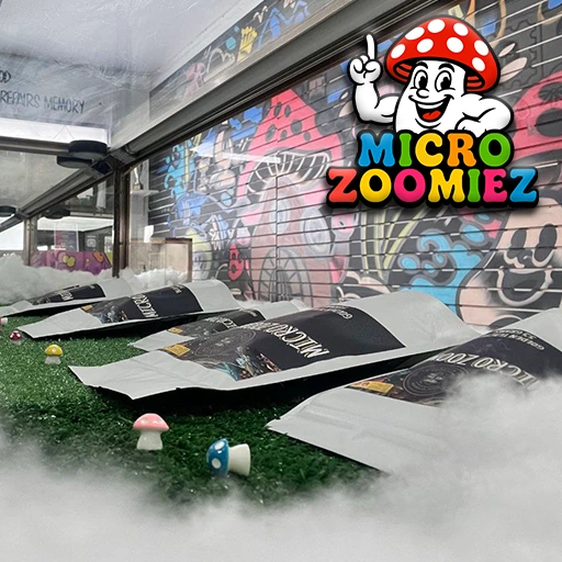 Magic Mushroom Delivery Etobicoke