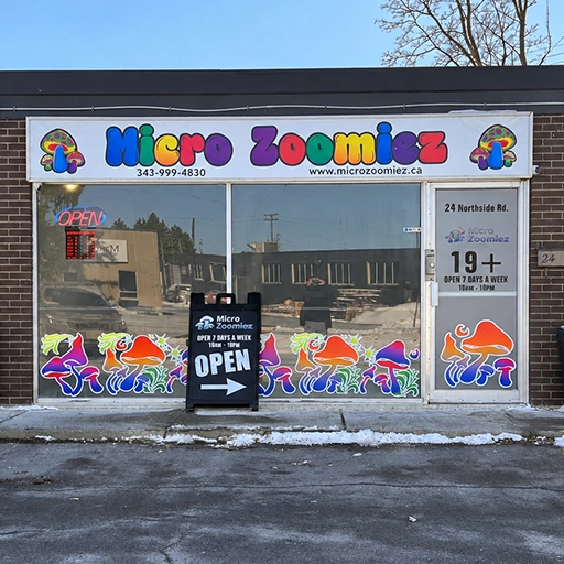 Magic Mushroom Delivery Kars