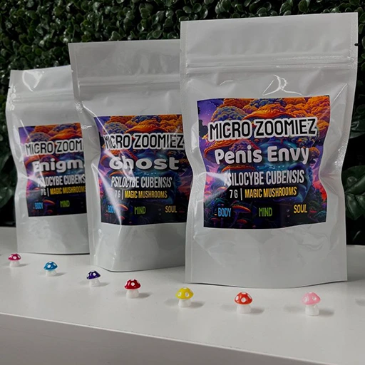 Magic Mushroom Delivery Maple