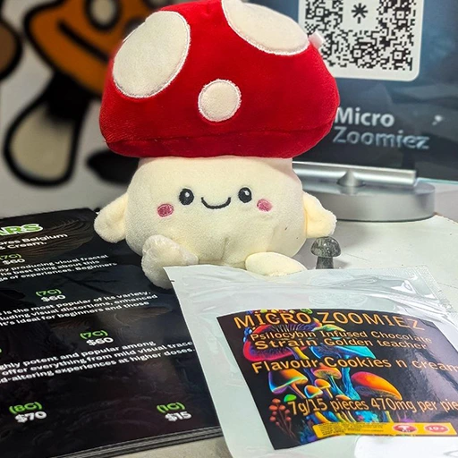 Magic Mushroom Delivery Markham