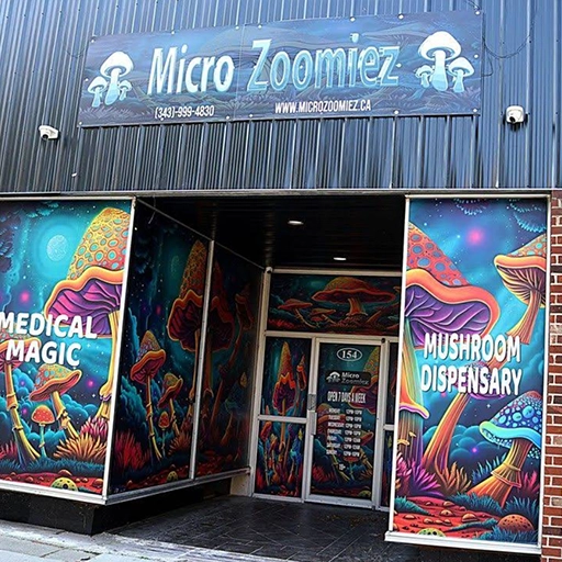Magic Mushroom Delivery Midhurst